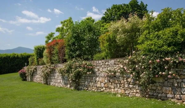 Le Manoir des Décideurs