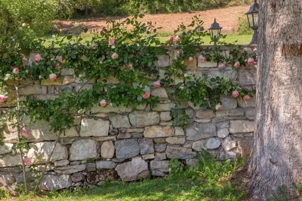 Le Manoir des Décideurs